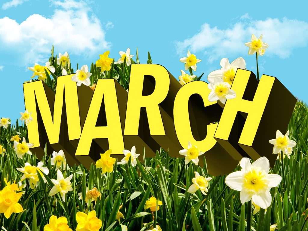 MARCH BULLETIN & CLIENT LINE